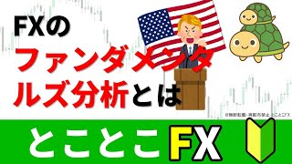 FXのファンダメンタルズ分析とは