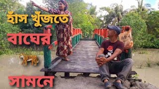 সুন্দরবনে বাঘের গল্প। সুন্দরবন অভিযান-৯। The story of tiger 🐅 in the sundarbans.