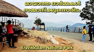 Eravikulam National Park - Munnar Part-2 കാട്ടാനയും പുലിയും ഇറങ്ങുന്ന ഇരവിക്കുളം