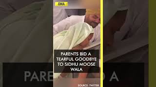 Parents bid a tearful goodbye to Sidhu Moose Wala | DNA Shorts