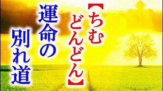 朝ドラ｢ちむどんどん｣第35話 将来を掛けた暢子の対決の行方は…NHK連続テレビ小説ドラマ第34話感想