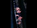 170527 exordium dot in seoul love me right