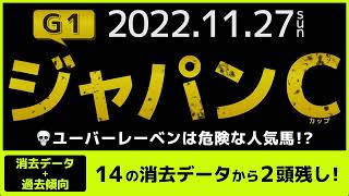 『2022 G1 ジャパンカップ 消去データ \u0026 過去傾向 』ユーバーレーベンは危険な人気馬？　14の消去データから2頭残し！