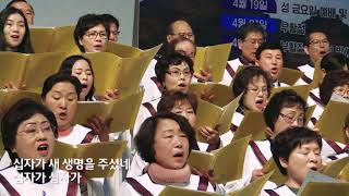 십자가 앞에서 [In front of the Cross] - 송월교회 할렐루야성가대