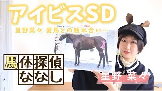 【アイビスSD】馬体予想！写真を使って好走できる馬体をピックアップ