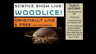 The Science of Woodlice! For all ages.