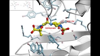 Covalent Docking Screening Webinar