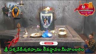 మీనాంబరం అద్భుతమైన దర్శనం // రహస్యాలు