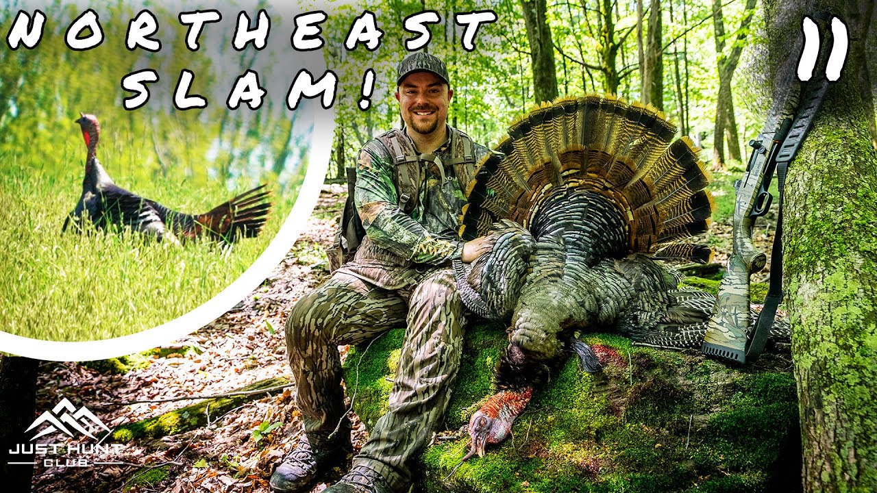 Late Season Pennsylvania Turkey Hunting - YouTube