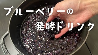 ブルーベリー酵素（発酵ドリンク）の作り方…手作り酵素とは？失敗しない作り方､飲み方をご紹介しています！