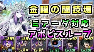 【パズドラ】金曜の闘技場周回　ミアーダ対応アポピスループ【シェヘラザードドラゴン】