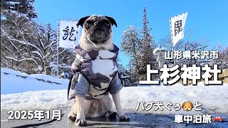 パグ犬ぐぅ🐶と車中泊旅🚗 2025年1月 山形市米沢市「上杉神社」