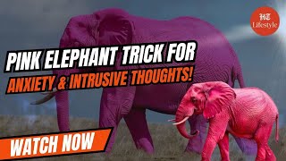 How To Deal With Anxious \u0026 Intrusive Thoughts | Pink Elephant Experiment