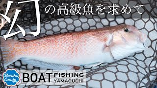 幻の超高級魚「白甘鯛」を狙いに行きました。｜楽しいボートフィッシング