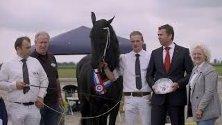 Kampioen fokdag het Friesche Paard Noord en Zuid-Holland Amarens van Lapinenburg 2019