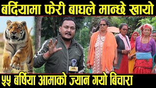 बर्दियामा फेरी दिउसै बाघले मान्छे खायो ||  ५५ बर्षिया आमाको ज्यान गयो बिचारा Bardiya bagh kanda