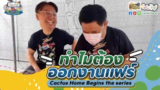 #1_ทำไมต้องออกงานแฟร์   Cactus Home Begins the series