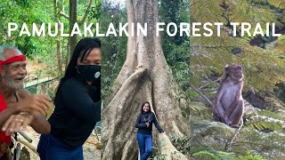 A Day in the Pamulaklakin Forest Trail