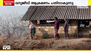 വന്യജീവി ആക്രമണ ഭീതിയിൽ മലയോര മേഖല; കോഴിക്കോട് വളർത്തുനായയെ അജ്ഞാത ജീവി കടിച്ചുകൊന്നു