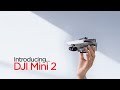 Introducing DJI Mavic Mini 2 | D1 Store