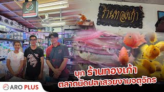 บุกร้านทองเก้า ตลาดนัดปลาสวยงามจตุจักร | คนรักปลาพาชม