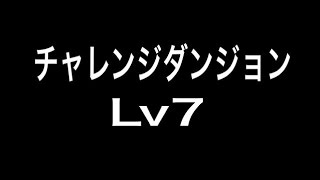 第9回 チャレンジダンジョン Lv7(ノーコン) 光カーリーPT (みつ)