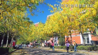 亞洲大學阿勃勒盛開2018 (Golden Shower Tree blooms of  Asia University 2018)4k