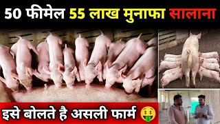 𝗣𝗶𝗴 𝗳𝗮𝗿𝗺 इनकी तरह करो 🤑 Pig feed formula 💯 Pig farming business pig feed ! #pigfarming #agriculture