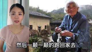 民间故事：乖巧的儿子突然变傻了，为了吃糖葫芦，把娘给卖了