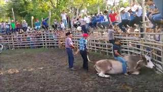 jaripeo ranchero celebrado en Tancoban Ixc, Ver. 2019 3ra  parte