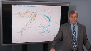 27.1 The Principle of Linear Superposition