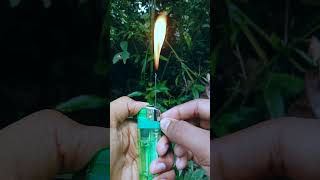 Simple And Fun Life Hack With Lighters Amazing Experiment With later #short video #m4tech