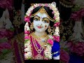 radhe krishna bhakti song shortvedio radhe radhe🌺🙏🙏🌺