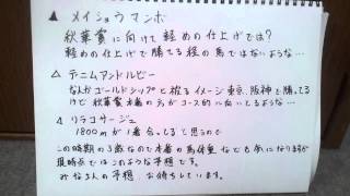 第３１回関西テレビ放送賞ローズステークス(ＧⅡ) ２０１３年予想