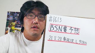 【競馬予想】BSN賞 L(土曜新潟11R)予想