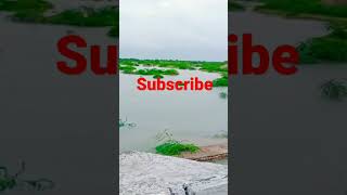 Luni river,Luni,Luni nadi, लूणी नदी,लूणी नदी में आया पानी,#flood,#floods ,#shorts