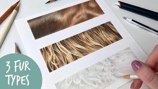 How to Draw Fur in Coloured Pencils | Coloured Pencil Fur Tutorial