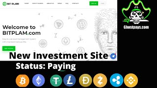 Bitplam.com new bitcoin investment site (join now it's paying) | bitplam scam or legit