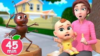 Itsy Bitsy Spider | BooBoo Bugs | 🐛🕷Insects Newborn Nursery Rhymes