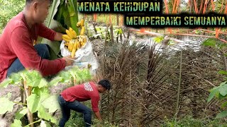 memperbaiki semuanya menata kehidupan berjuang di tengah hutan warta petani muda hidup di hutan