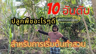 10 อันดับพืชที่น่าปลูกสำหรับเกษตรกรมือใหม่เริ่มต้นทำสวน #เกษตรอินทรีย์ #เกษตรผสมผสาน #เกษตรทฤษฎีใหม่