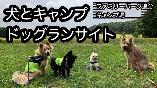 【犬とアウトドア】ドッグランサイトでデイキャンプ⛺️北海道〜ファミリーパーク追分オートキャンプ場へ