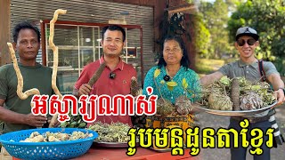 ក្បួនដូនតាខ្មែរពូកែណាស់ ឡើងក ជល់ដី ក្របីជ្រុំ ប្រជុំជើងក្រាស់ ចាស់បង្រៀនតដល់ក្មេង