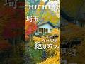 行くなら今！朝8時から行ける絶景カフェ🍁【2024年12月2日撮影】#秩父グルメ #秩父　#埼玉グルメ  #埼玉 #japanfood