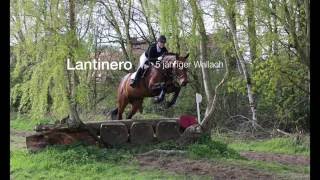 Bewerbung Trainingstag mit Nick Gauntlett 2016