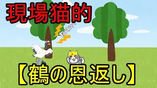 現場猫的【鶴の恩返し】