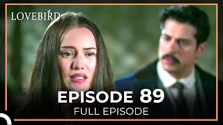 Lovebird Episode 89