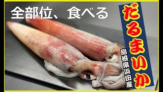 だるまいか の全て！全部位 10種 食べ比べて みた【 せり人ムタロー 】