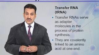 BIO731 Topic014