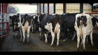 DeLaval Promotional Video